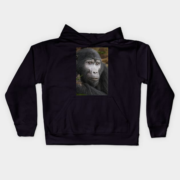 Gorilla II Kids Hoodie by njones